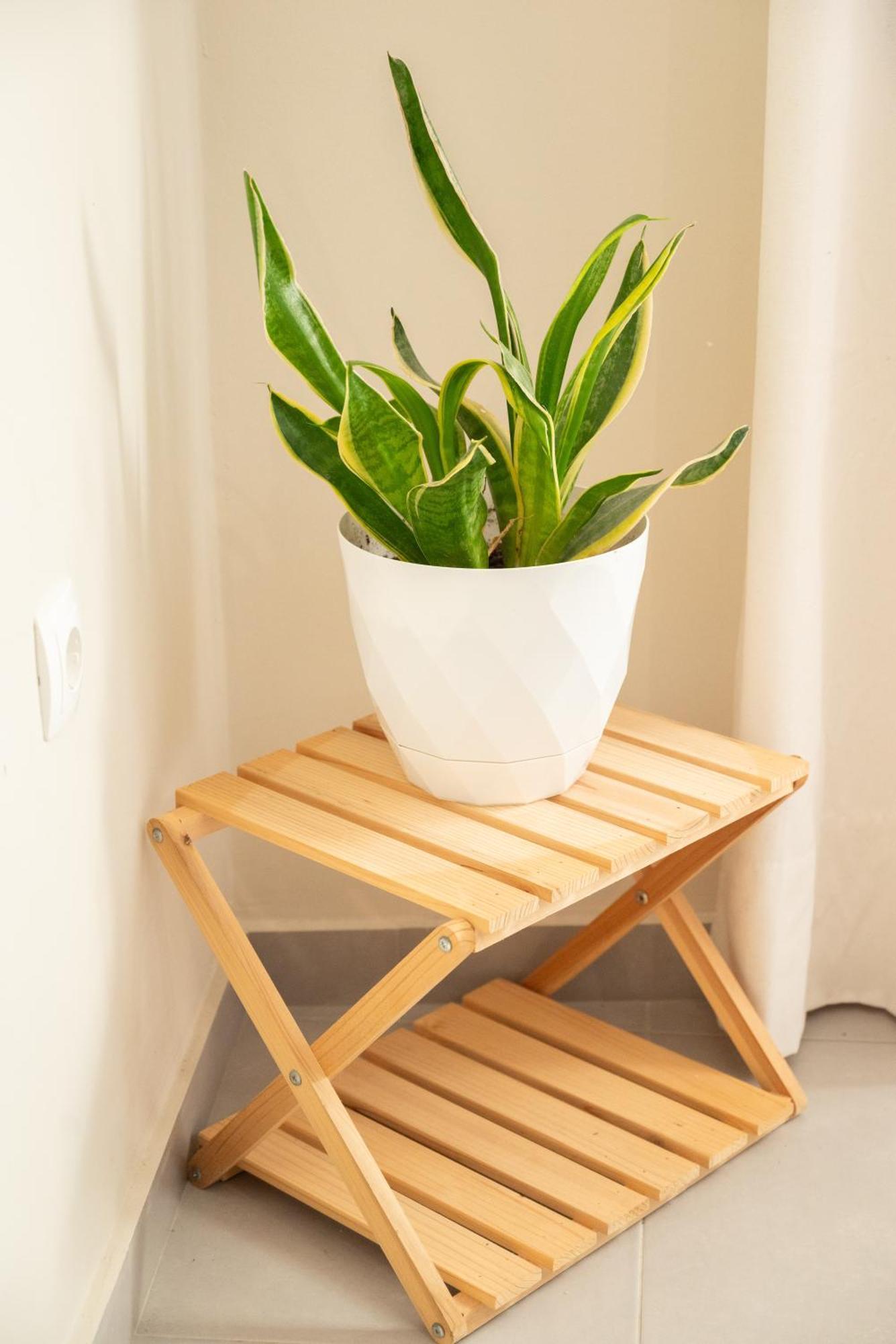 Casa de férias Calme Luxury *